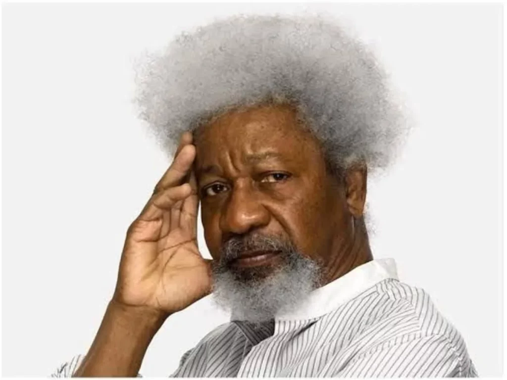 Visas are privilege, not right, US replies Soyinka Israel