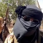 Emirate under siege as terrorists overrun Niger communities, forests