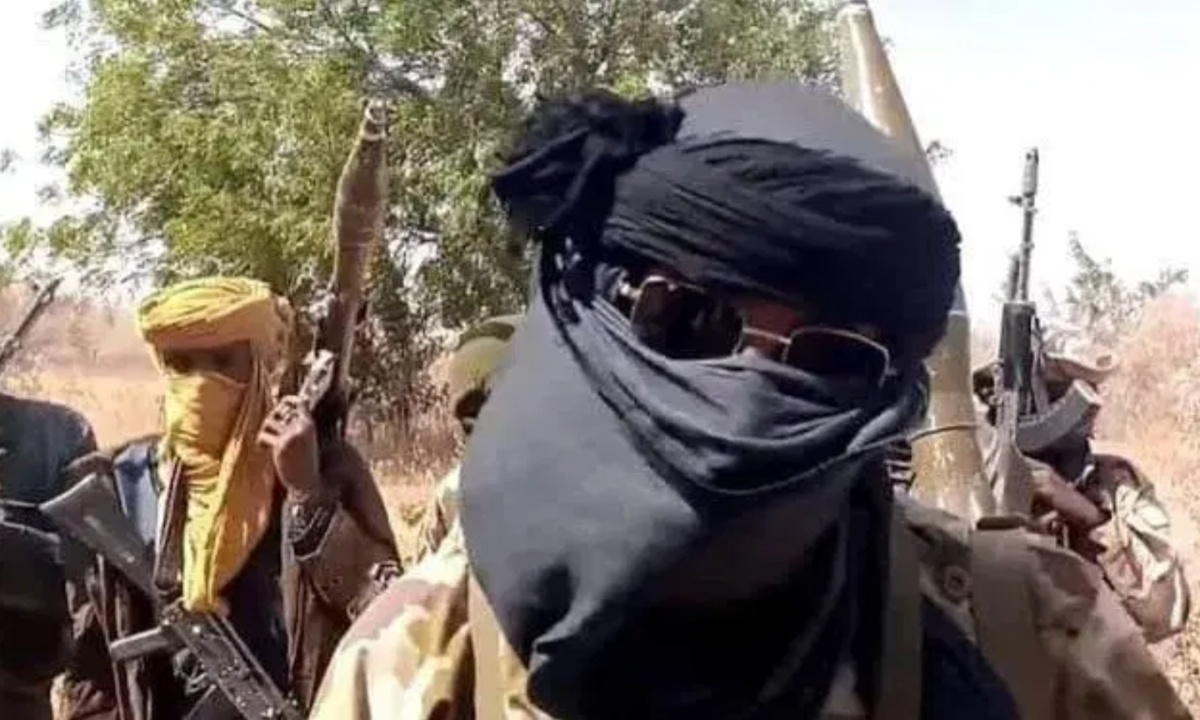 Emirate under siege as terrorists overrun Niger communities, forests